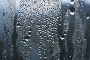 Window Condensation: How To Prevent It
